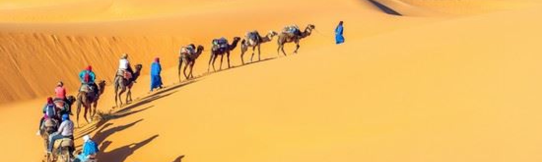 Riding camels in the desert of Tunisia